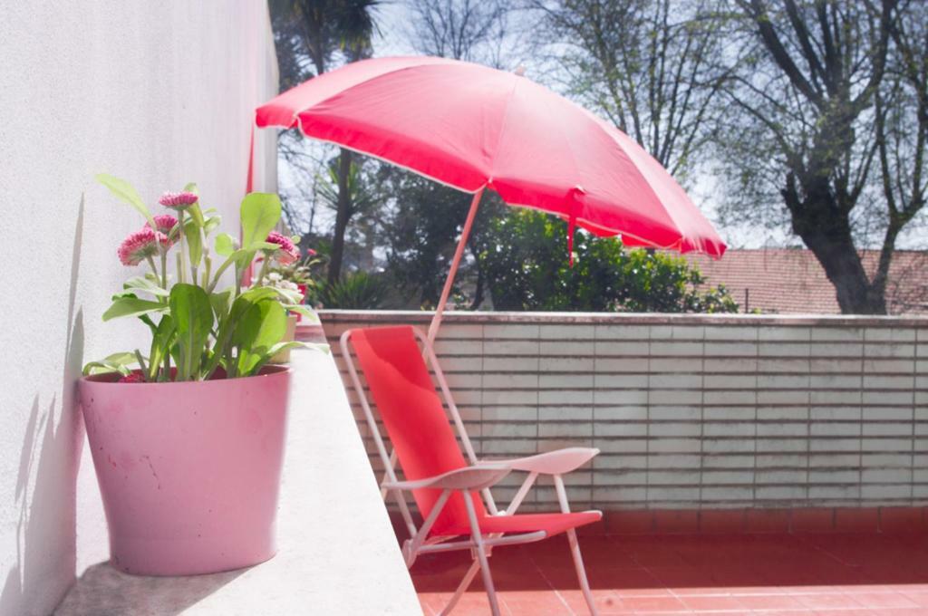 Terrace Porto Downtown Exterior foto